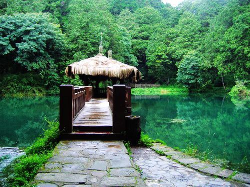阿里山森林风景区